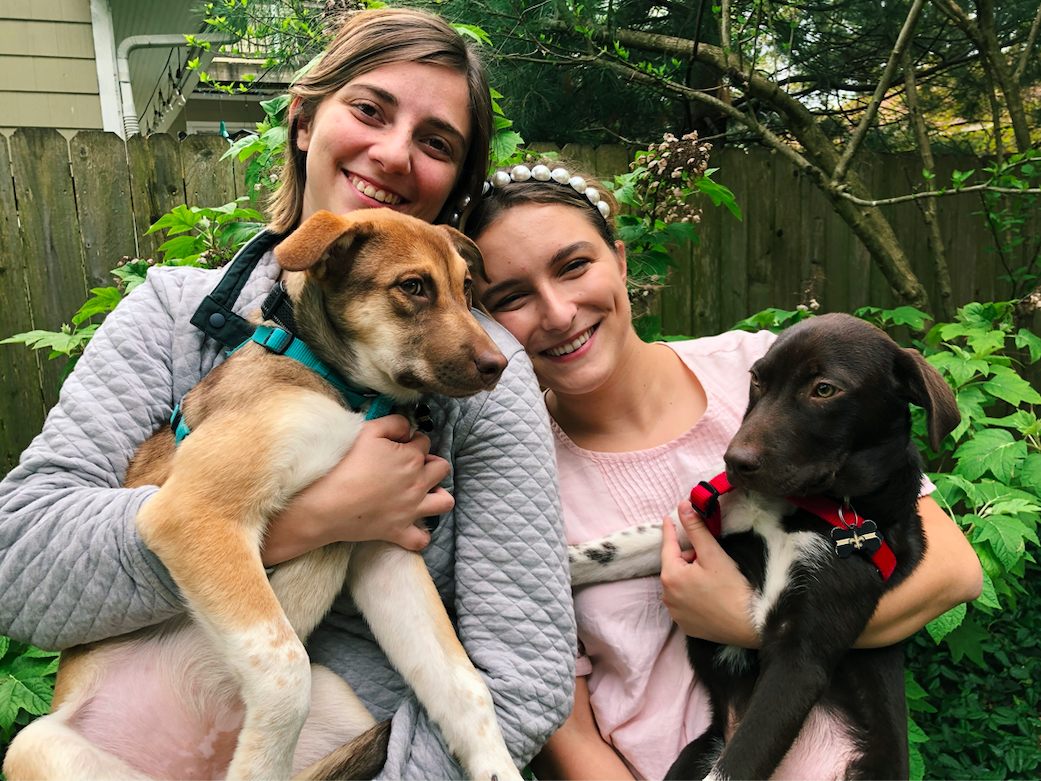 happy rescue stories