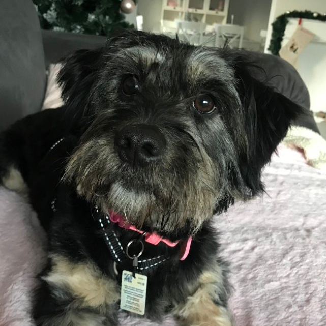 Maggie was found pregnant and alone